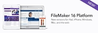 Multi Language Filemaker Pro License Key 16 Windows Mac OS Free Download supplier