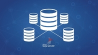 Online Activation SQL Server Open License 2017 Multi Language With No DVD supplier