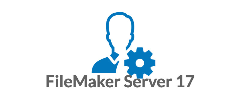 FileMaker Sever 17 Software License Key Code , Windows Filemaker Pro Licence supplier