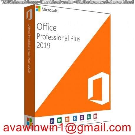 Original Microsoft Office 2019 Pro Plus / Office 2019 Pro Plus Retail Box Disc supplier