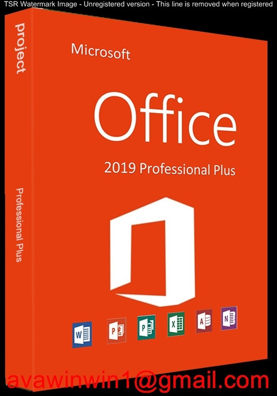 OEM Microsoft Office 2019 Pro Plus / Office 2019 Pro Plus Retail Box Disc Online Activation supplier