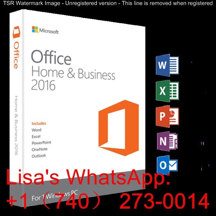 Ms Office 2016 Home And Business , Microsoft Home And Business 2016 supplier